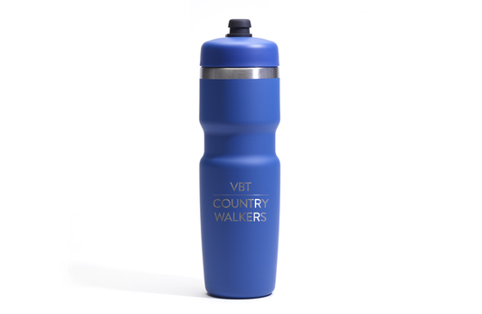 Bivo Stainless-Steel Water Bottle in Blue