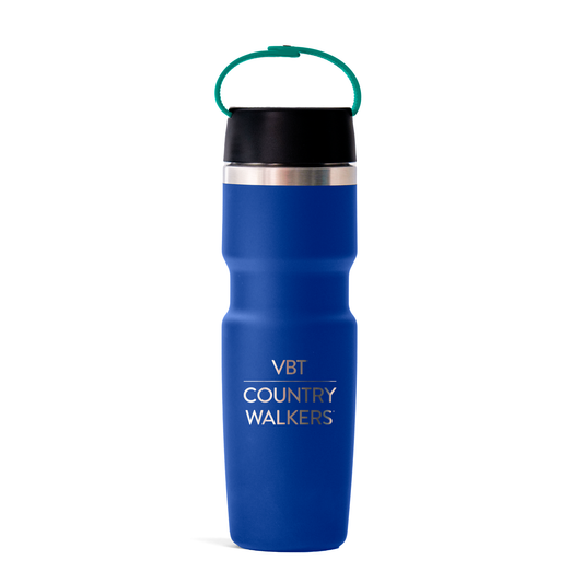 Bivo Stainless-Steel Water Bottle in True Blue
